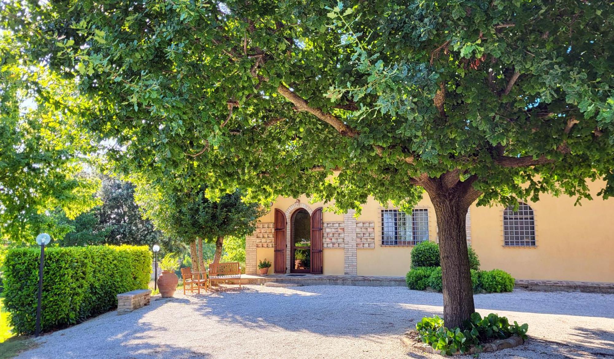 Le Case Dell'Olmo Assisi Ngoại thất bức ảnh